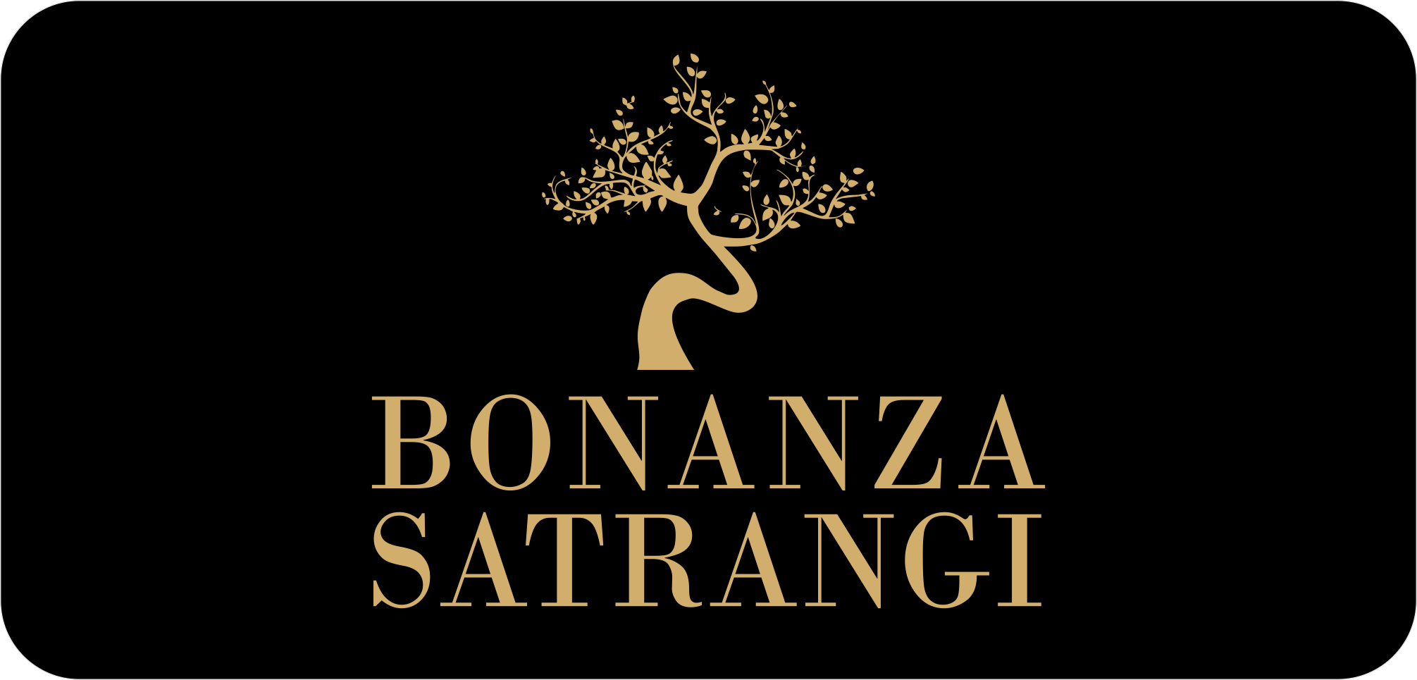 brand-image